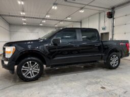 2021 FORD F-150 XL STX *360 CAMERA* *SAFETIED* *ACCIDENT FREE